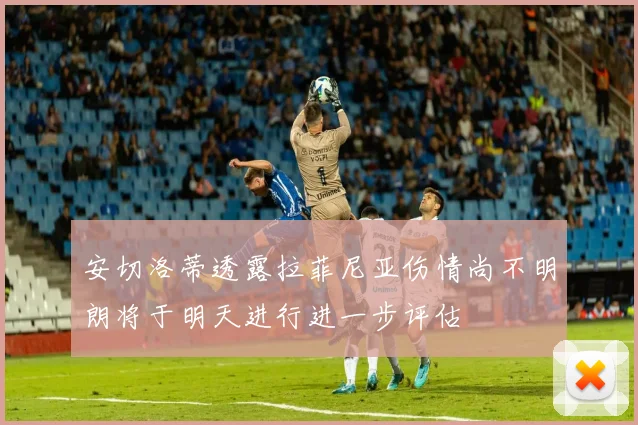 安切洛蒂透露拉菲尼亚伤情尚不明朗将于明天进行进一步评估